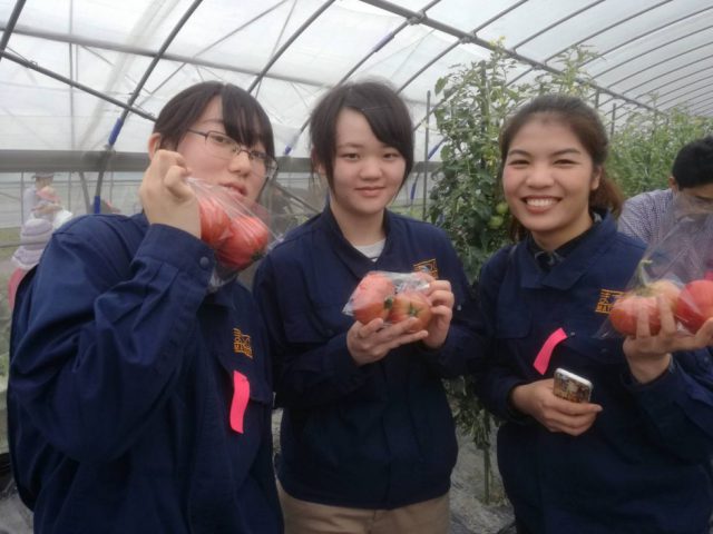 「野菜くらぶ収穫祭」美味しい野菜に笑顔があふれました！