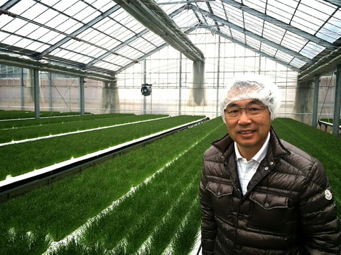 【松野貞文の全国視察レポート】静岡編「魅せる」ミニサイズ野菜に取り組む京丸園 を公開しました