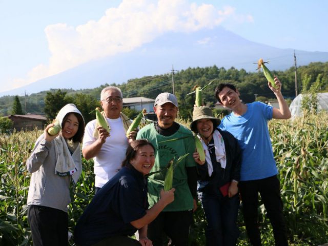 【ふるさと納税産直便】まつの産地応援隊が「富士山とうもろこし」1000本の収穫を応援